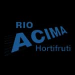 Empresa D